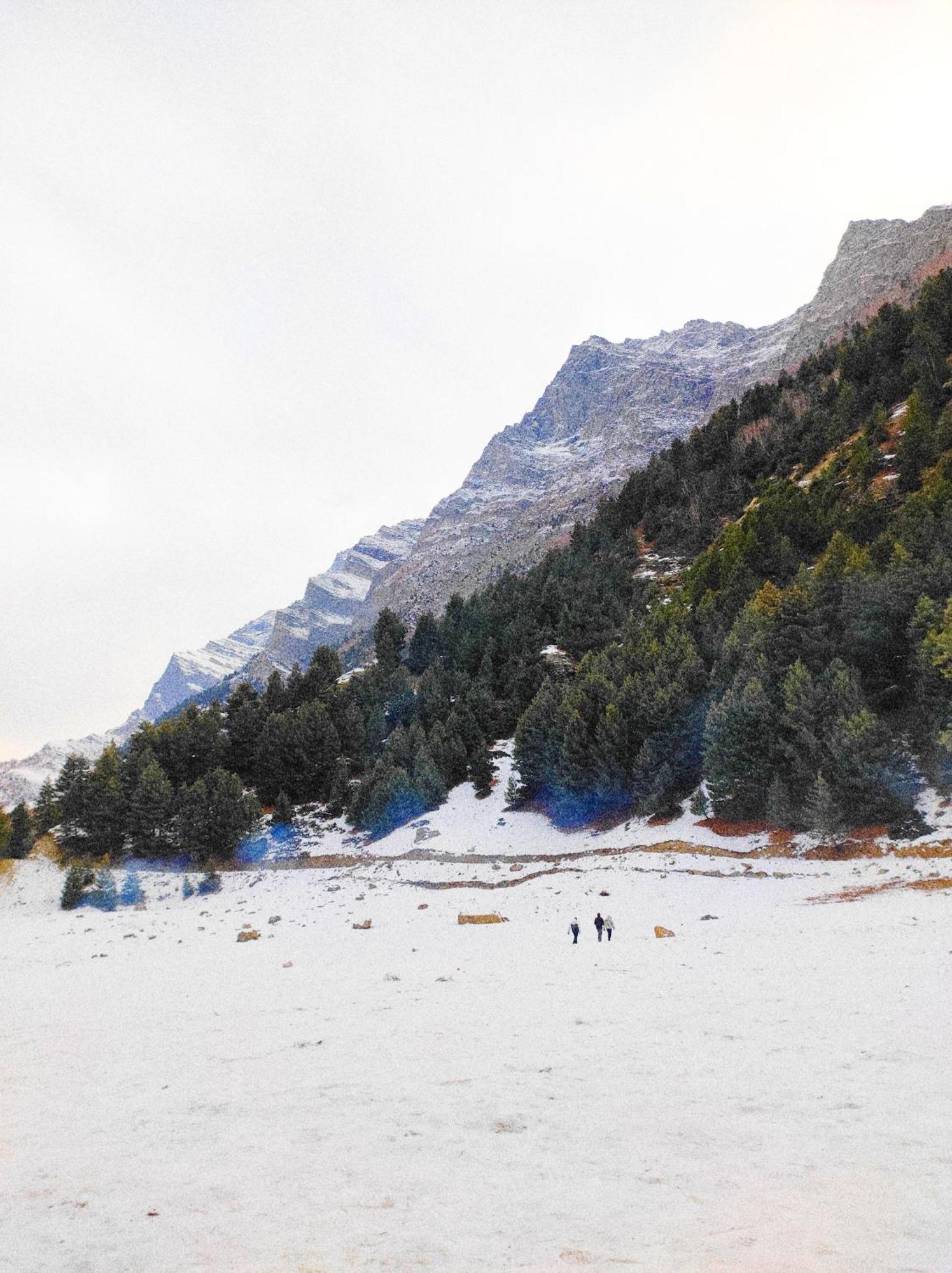 Beheney Homestay Kyelang Dış mekan fotoğraf